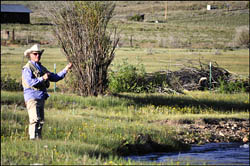 Miners Creek Ranch Fly Fishing